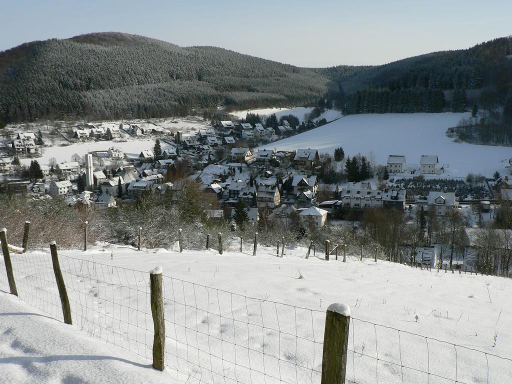 Landhaus Silberberg Winterberg Bagian luar foto